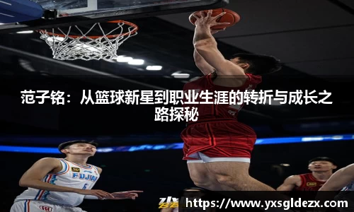 BB贝博艾弗森